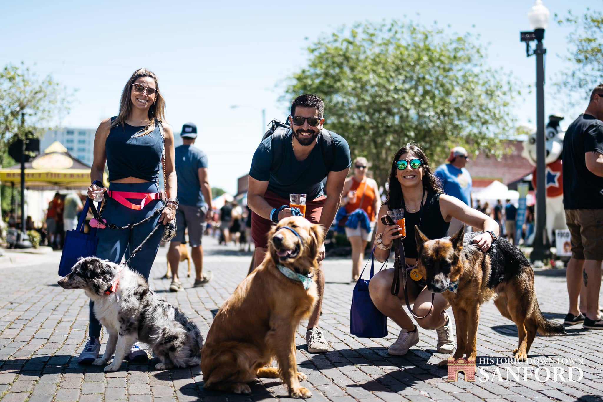 Dogs gather for the 2023 Pints and Paws