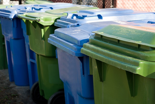 Photo of garbage and recycle bins